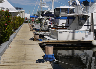 Royale Palm Yacht Basin portfolio 4