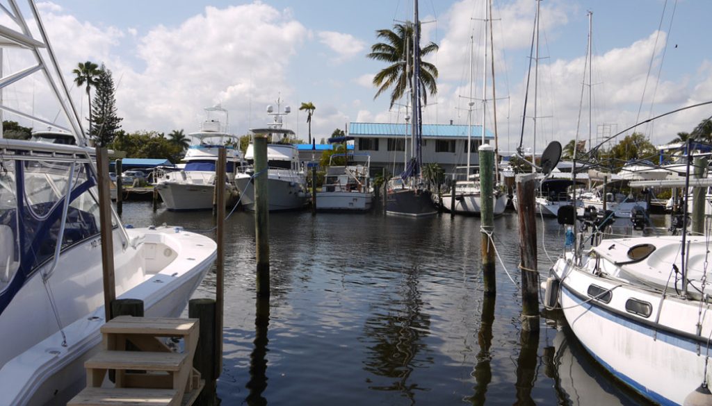 Boat Repair Fort Lauderdale Contractors; photo of boats in marina with palm tree