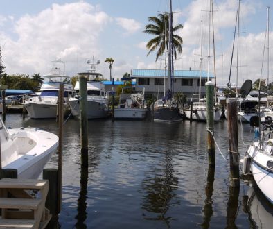 Boat Repair Fort Lauderdale Contractors; photo of boats in marina with palm tree
